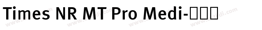 Times NR MT Pro Medi字体转换